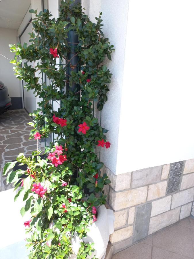 Apartments Karmen Portoroz Exterior photo